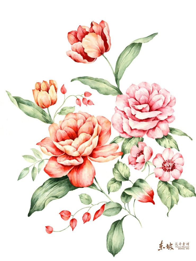 手绘花卉 花卉 手绘 花 叶子 红色 绘画书法 文化艺术