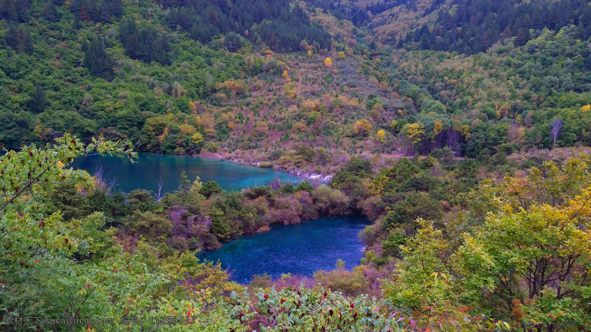 九寨传说 九寨沟 七彩湖 九寨千古情 湖 水 橡皮艇 树叶 树 五彩池 湖水 倒影 树木 山 芳草海 草 旅游摄影 国内旅游