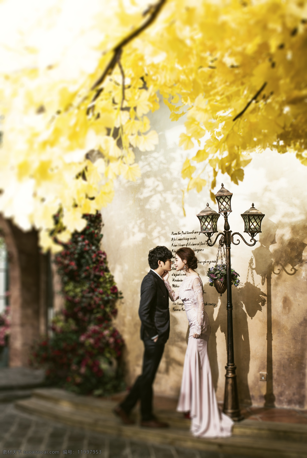 韩式 婚纱摄影 枫叶 路灯 欧式 中式 双人 结婚照 婚照 人物图库 人物摄影