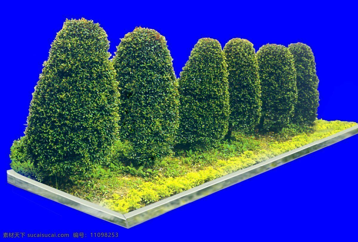 灌木 植物 贴图素材 建筑装饰 设计素材 蓝色