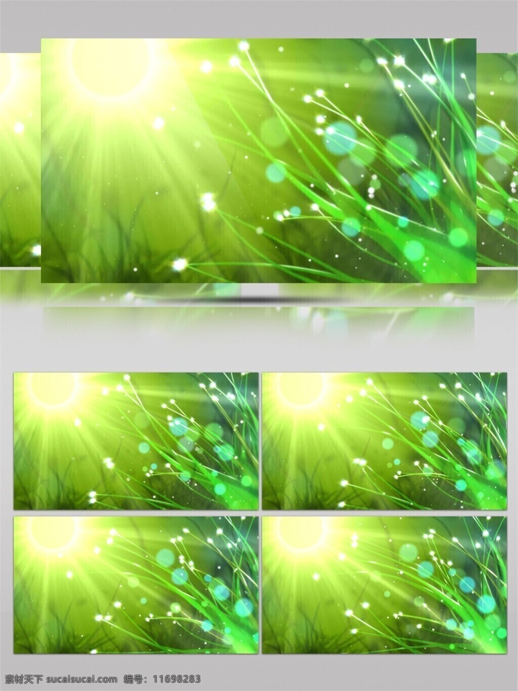 阳光 绿叶 视频 绿色 植物 枝叶 视觉享受 唯美背景素材 节目灯光