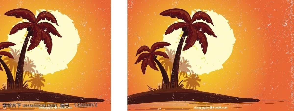 日落 棕榈树 背景 树木 夏季 树叶 自然 热带 植物 环境 自然背景 棕榈 棕榈叶 天堂 树干 异国情调
