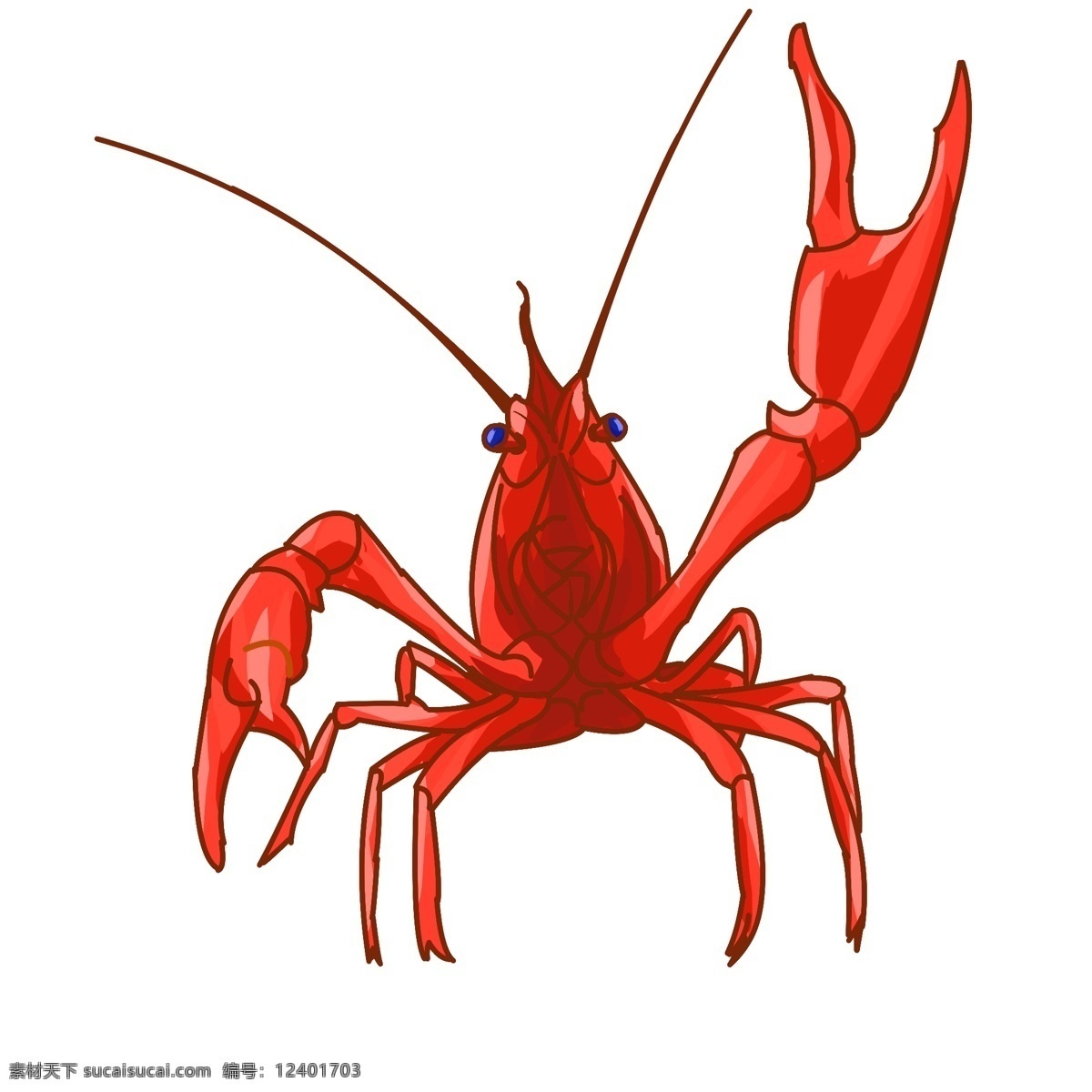 举手 可爱 小 龙虾 小龙虾 动物 海洋生物