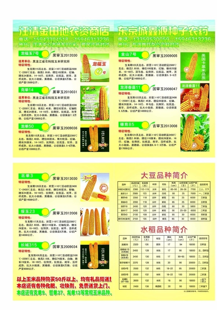 玉米种子传单 种子宣传单 种子公司 玉米种子 包米种子 种子dm单 种子彩页 玉米种子挂画 玉米种子广告 dm宣传单