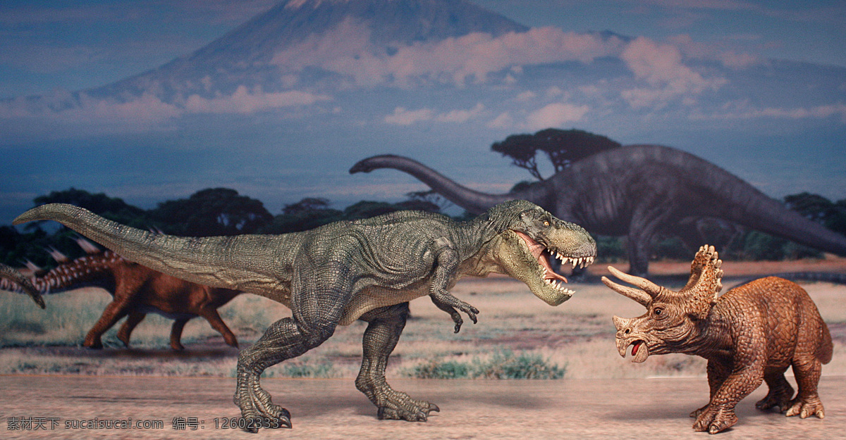 暴龙与三角龙 白垩纪 暴龙 三角龙 模型 博物馆 收藏 生物世界 野生动物