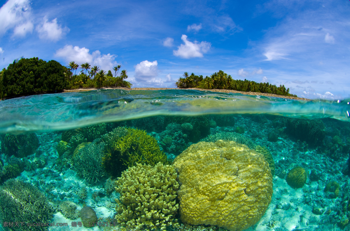 海景 海岛 海底海面 水平线 海底景色 海底绿色 海洋 海鱼 自然景观 自然风景