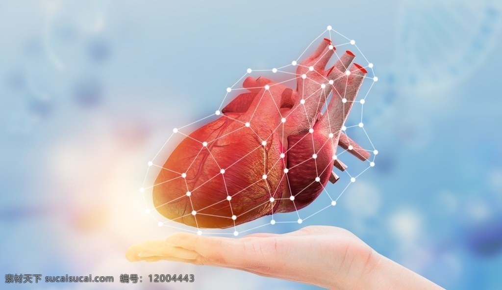 呵护心脏 心脏医疗 医护 医生 关爱心脏 心脏特写 心脏素材 现代科技 医疗护理
