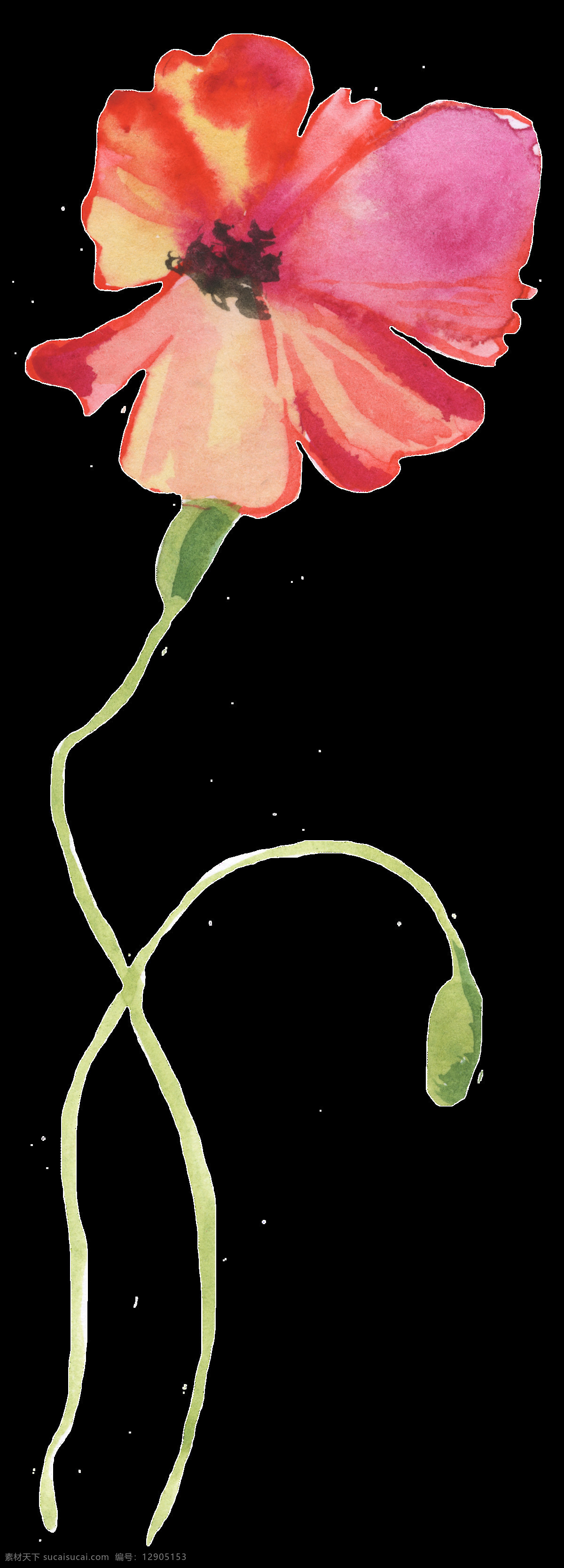 生长 花卉 透明 装饰 春季 海报设计装饰 卡通 免扣 设计素材 水彩 淘宝素材 透明素材 装饰图案