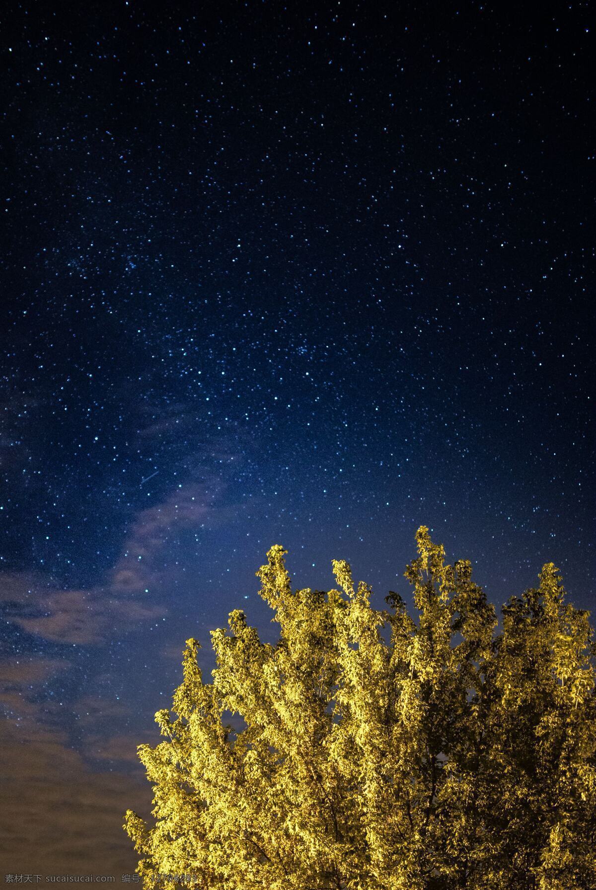 星空与树 星空 树 夜景 安静 背景 星星 宇宙 摄影背景 旅游摄影 自然风景