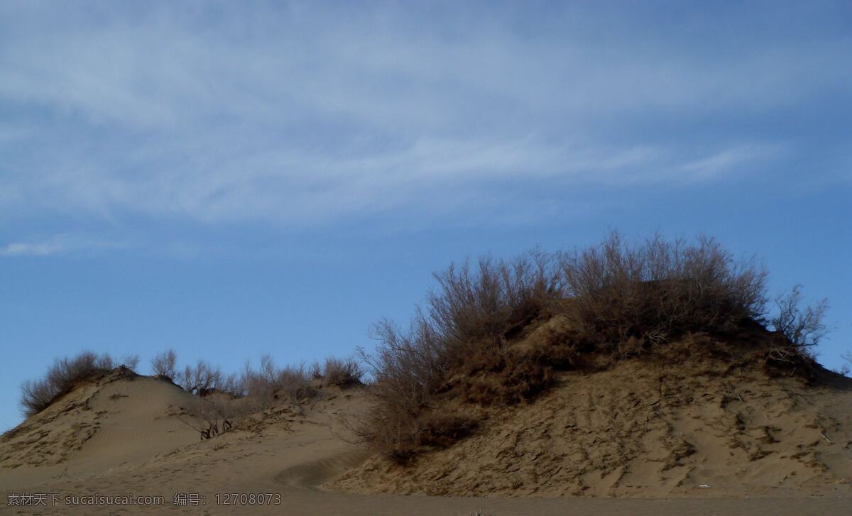 格尔木 沙漠 边缘 冬季 风蚀 小沙丘 小胡杨 风景 生活 旅游餐饮