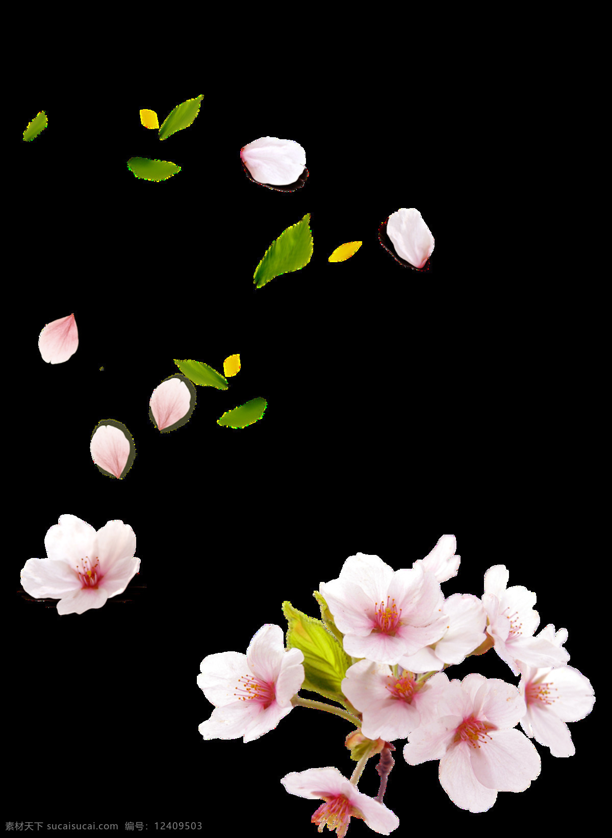 粉色 花瓣 花雨 免扣 桃花 唯美 元素