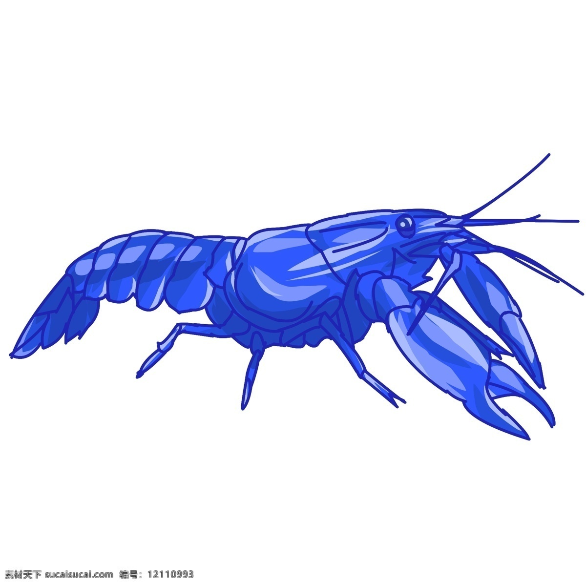蓝色爬行龙虾 龙虾 动物 海鲜