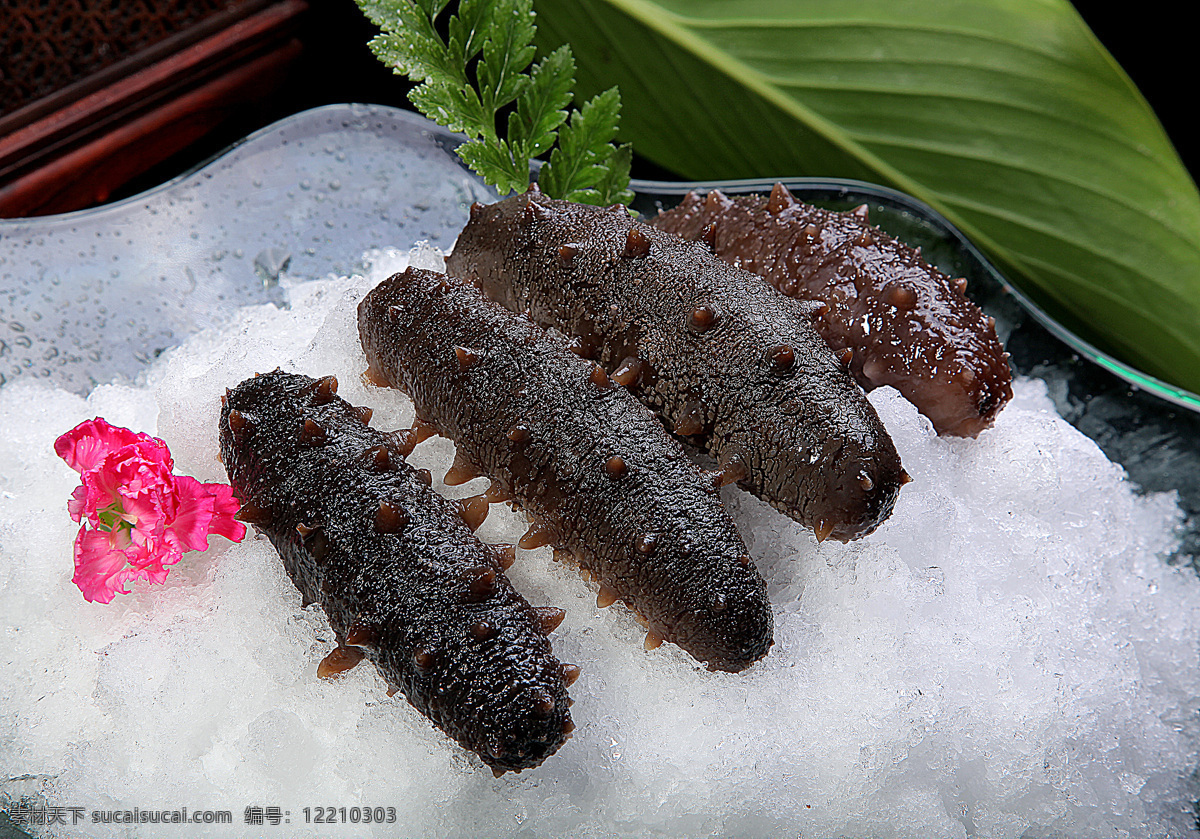 豫 菜 活 海参 川菜 鲁菜 粤菜 苏菜 浙菜 闽菜 湘菜 徽菜 沪菜 东北菜 清真菜 热菜 锅仔 干锅 炒菜 家常菜 特色菜 美食 美味 八大菜系 中餐 菜谱 菜名 小炒 炒饭 烧菜 凉菜 菜肴 小吃 豫菜 豫宴 河南菜 中原菜 宫廷菜 餐饮美食 传统美食