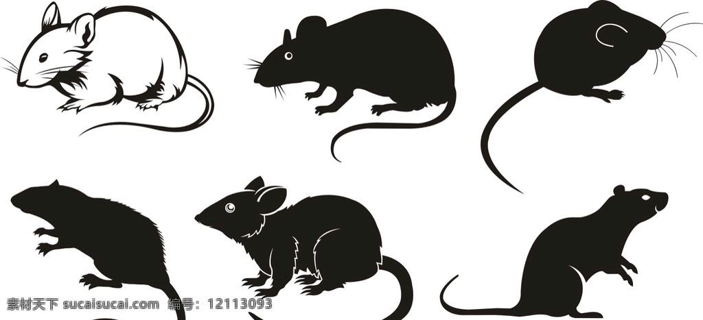 小老鼠 卡通老鼠 老鼠漫画 宠物 鼠类 鼠科 松鼠 米老鼠 小白鼠 宠物鼠 小可爱 卡通形象 卡通动物 卡通画 简笔画 鼠 奔跑 mouse 鼠标 小鼠 卡通公仔 儿童玩具 儿童 儿童乐园 游乐场 玩具 小动物图案 卡通素材 动物素材