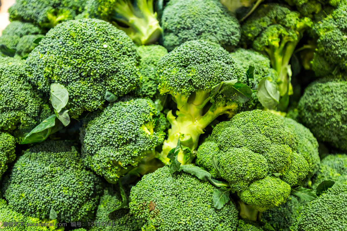 西蓝花 西兰花 菜花 椰菜 新鲜蔬菜 美食 蔬菜 绿色蔬菜 有机食物 生物世界