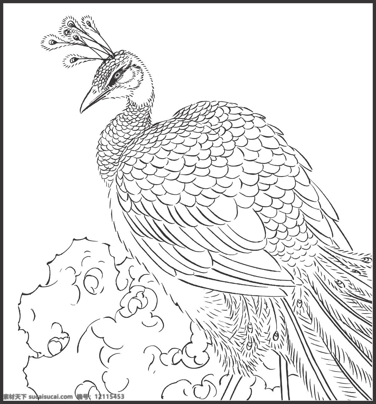 孔雀 百鸟之王 动物 鸟儿 剪纸 线条 矢量 传统 民俗 装饰 插画 白描 生物世界 鸟类