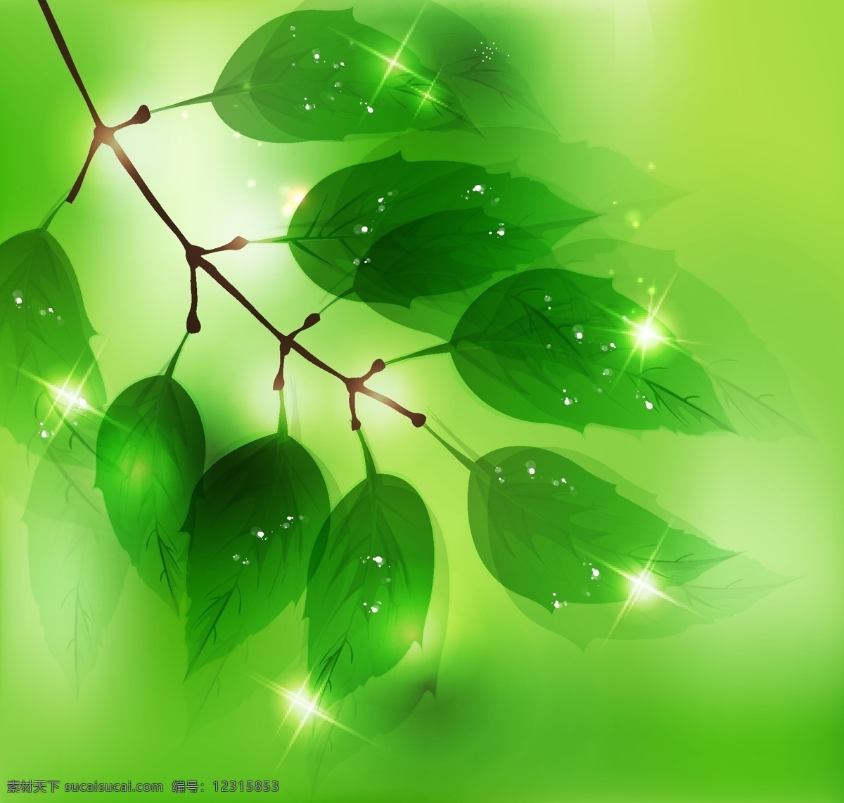 背景 底纹背景 底纹边框 花纹矢量图 环保 绿色 绿叶 树枝 水滴 水珠 星光 矢量 模板下载 自然 psd源文件