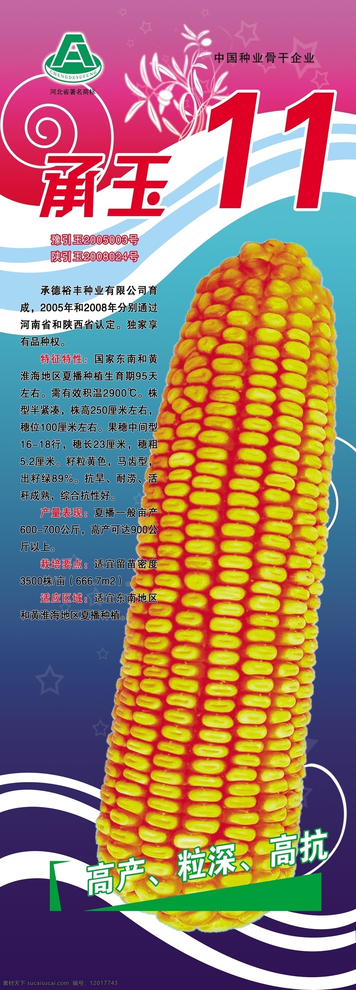 玉米展架 玉米 种子 玉米宣传单 玉米种子 展板模板 农业
