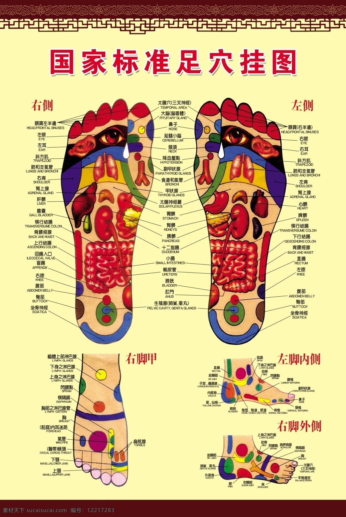 国家标准 足 穴 挂图 足疗 足疗穴位图 穴位图 足疗图 脚掌 脚面 按摩 足疗足浴 展板模板 广告设计模板 源文件