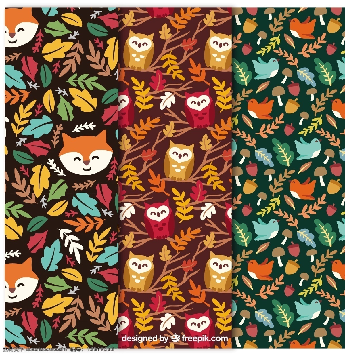 漂亮 秋天 动物 图案 集 背景 自然 树叶 猫头鹰 森林 可爱 颜色 装饰 狐狸