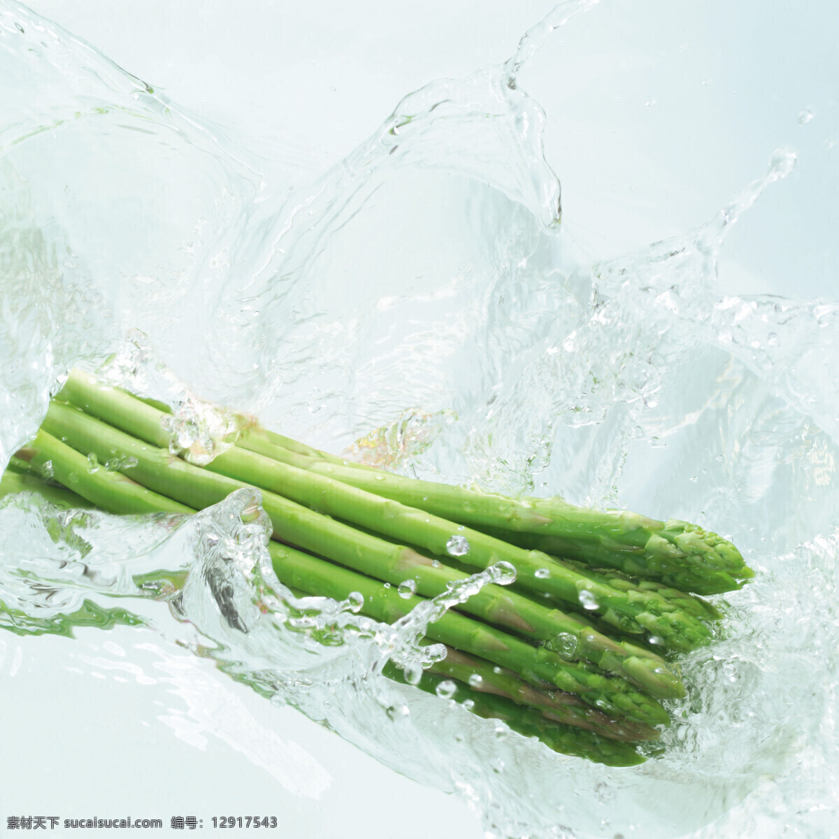 动感 蔬菜 动感蔬菜 餐饮 美食 食物 原料 生物世界 摄影图库