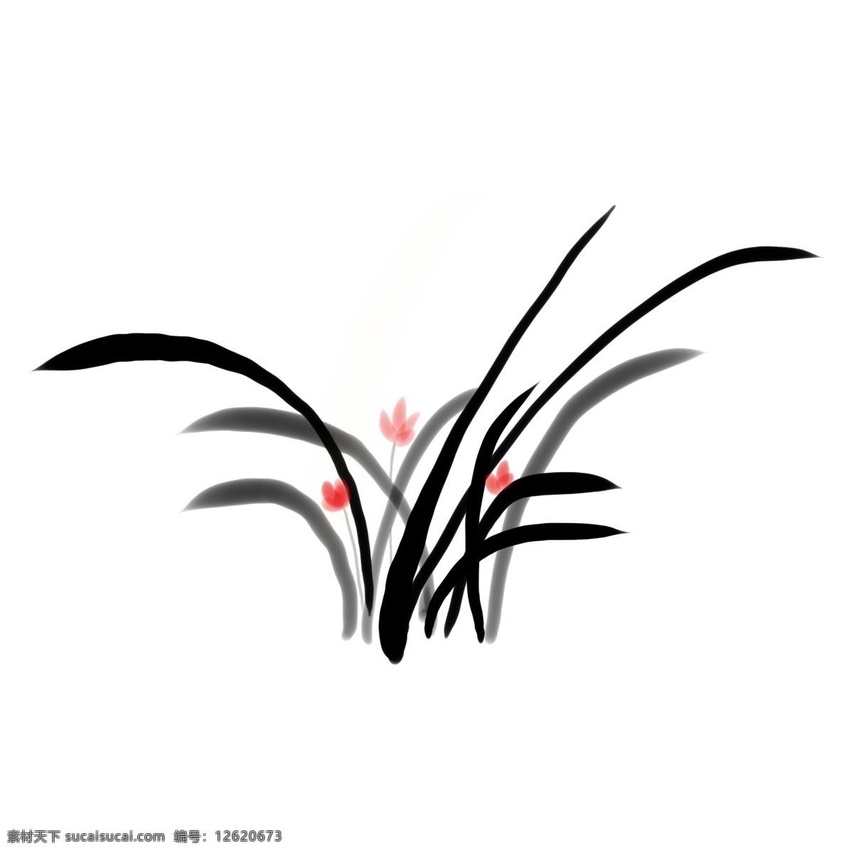 中国 风 手绘 水墨 兰花 植物 古风 水墨画 装饰