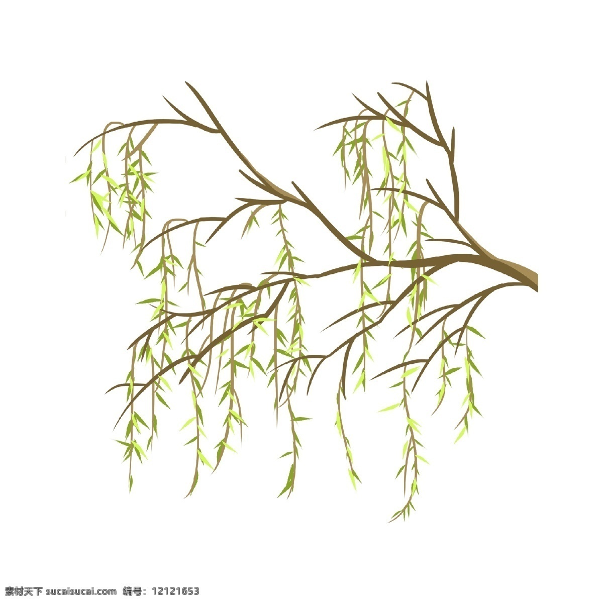 手绘 柳条 发芽 插画 柳树枝 柳树 植物 树木 绿色 手绘流失 杨柳 柳条发芽插画 柳条插画 插图