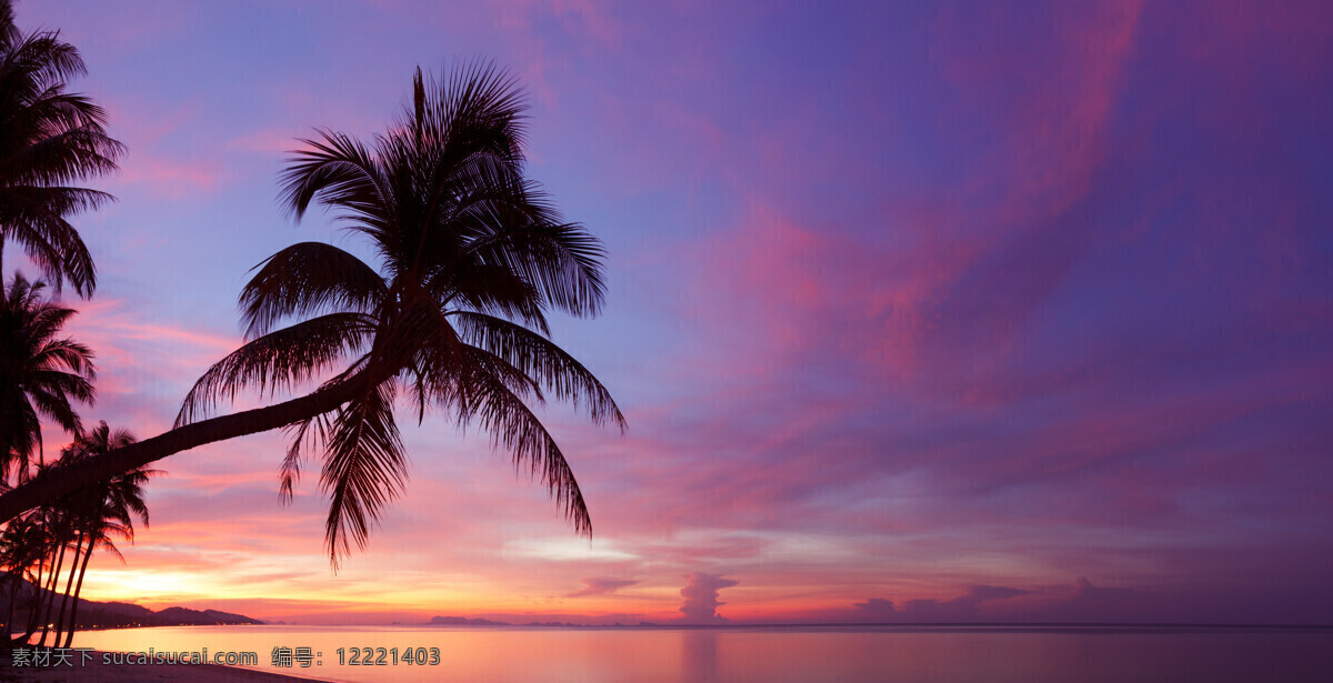 夕阳 椰子树 海洋 风景 晚霞 霞光 日落 大海 海浪 沙滩 自然风光 海洋海边 大海图片 风景图片