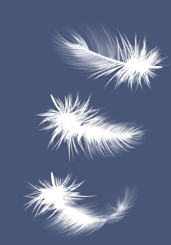 羽毛 白色羽毛 天使 矢量