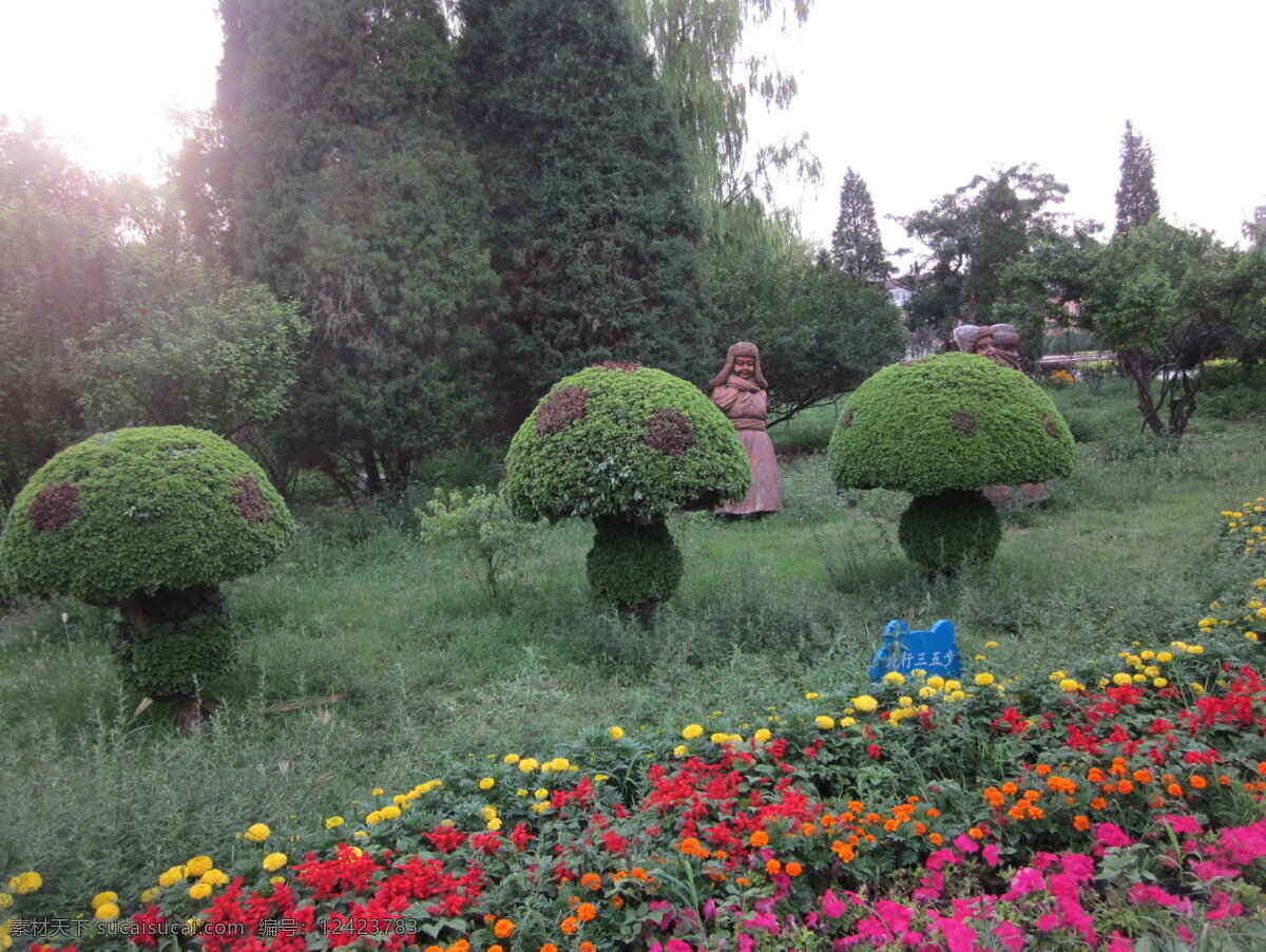 蘑菇叔 造型 蘑菇 小花 云彬 雕刻 草 广场 路边广场 树 小树 旅游摄影 自然风景