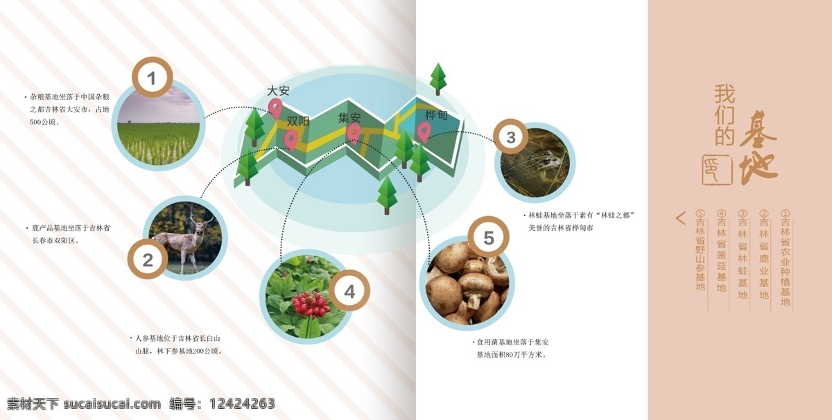 农业 特产 基地 分布 画册 单 页 单页 广告 绿色 鹿茸 杂粮 生态 食品