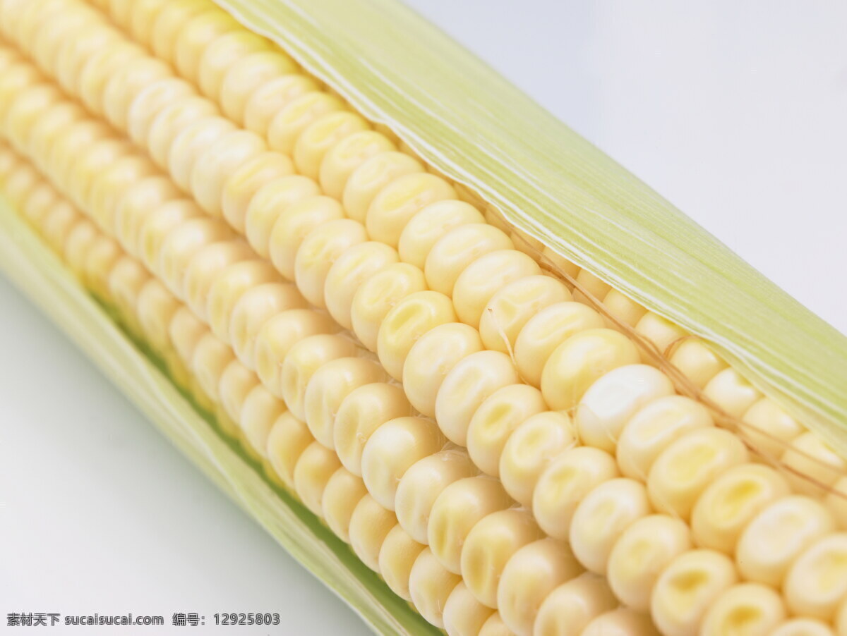 一个 玉米棒 特写 玉米 金色玉米 成熟 玉米皮 饱满颗粒 玉米穗 农作物 农产品 丰收 食物 原材料 高清图片 蔬菜图片 餐饮美食