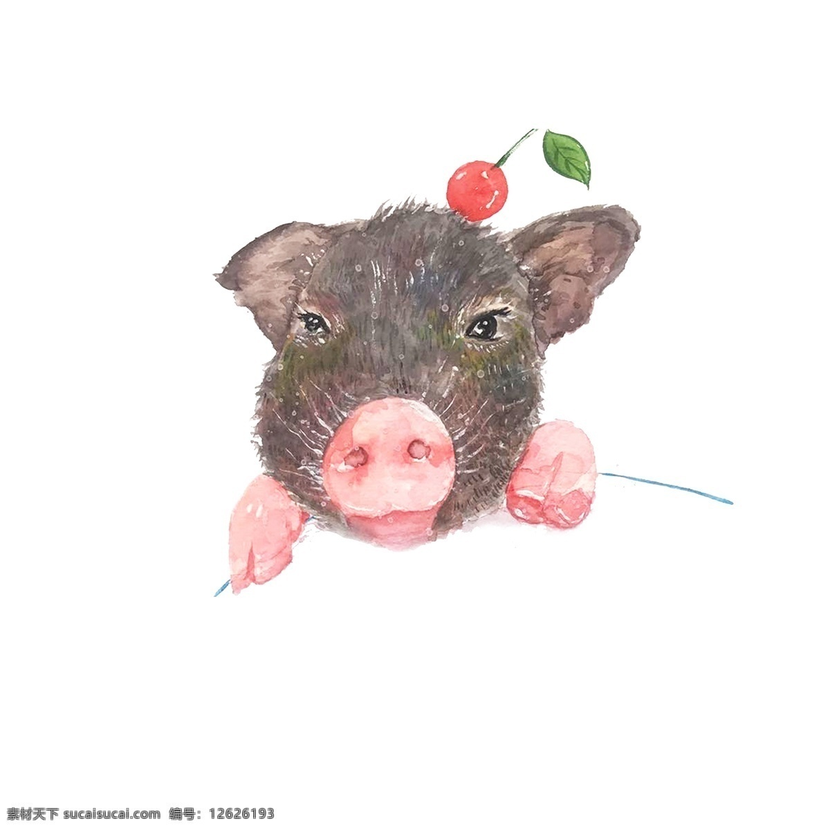 2019 生肖 猪 手绘 元素 商用 可爱 水彩手绘 卖萌 小清新 红樱桃