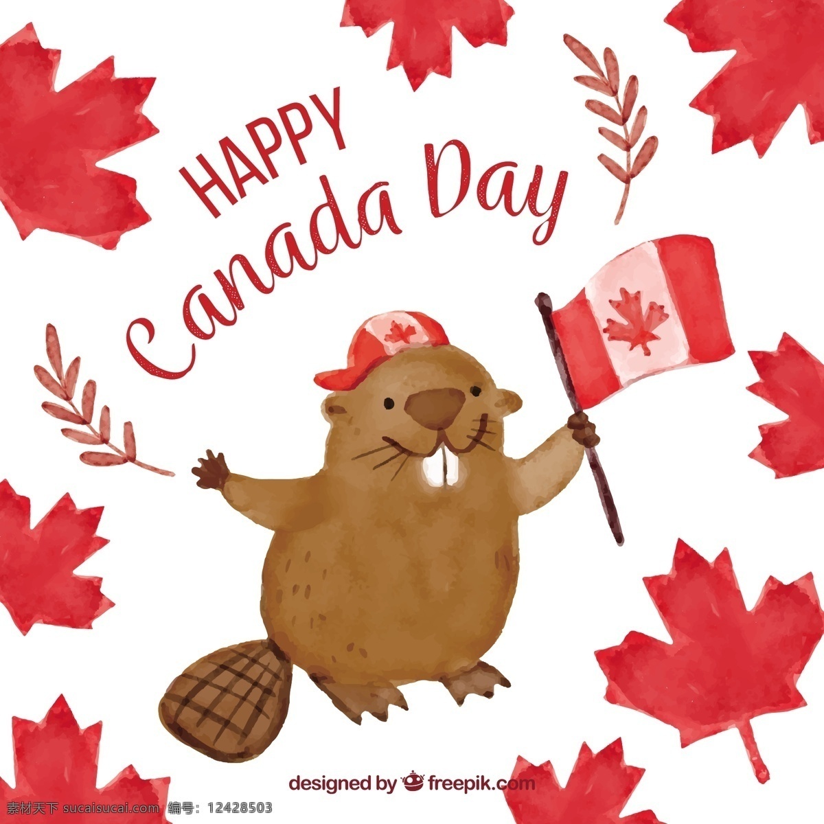 可爱 海狸 加拿大 国庆日 水彩 枫叶 背景 可爱的海狸 加拿大国庆日 水彩枫叶背景