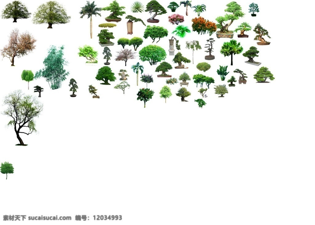 园林素材 柳树 龙爪槐 松 盆景 棕榈 园林设计 环境设计 源文件
