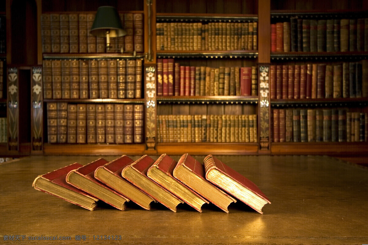 图书馆 里 书籍 图书室 书房 书本 典籍 古书 书架 经典图书馆 办公学习 生活百科 黑色
