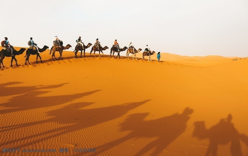 沙漠 骆驼 队伍 荒漠 沙丘 黄沙 沙地 沙漠化 干旱 贫瘠 荒凉 骆驼队 沙漠骆驼 沙漠动物 沙漠风光 自然景观 自然风景