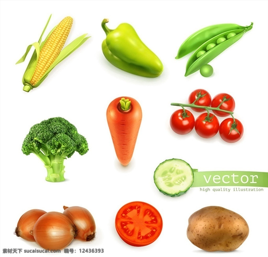 蔬菜图标图片 玉米 辣椒 豌豆 西兰花 红萝卜 番茄 矢量 高清图片