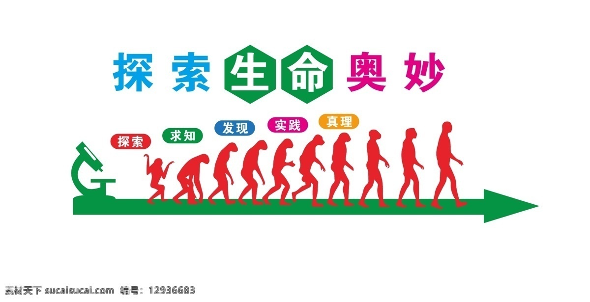 生物教室文化 生物 教室 文化 文化墙 人类进化 室内广告设计