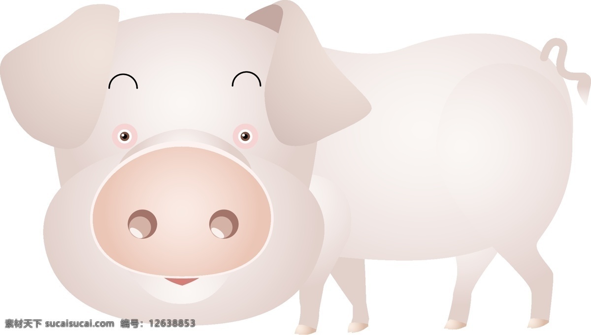 猪45 媒介动物 猪 白色
