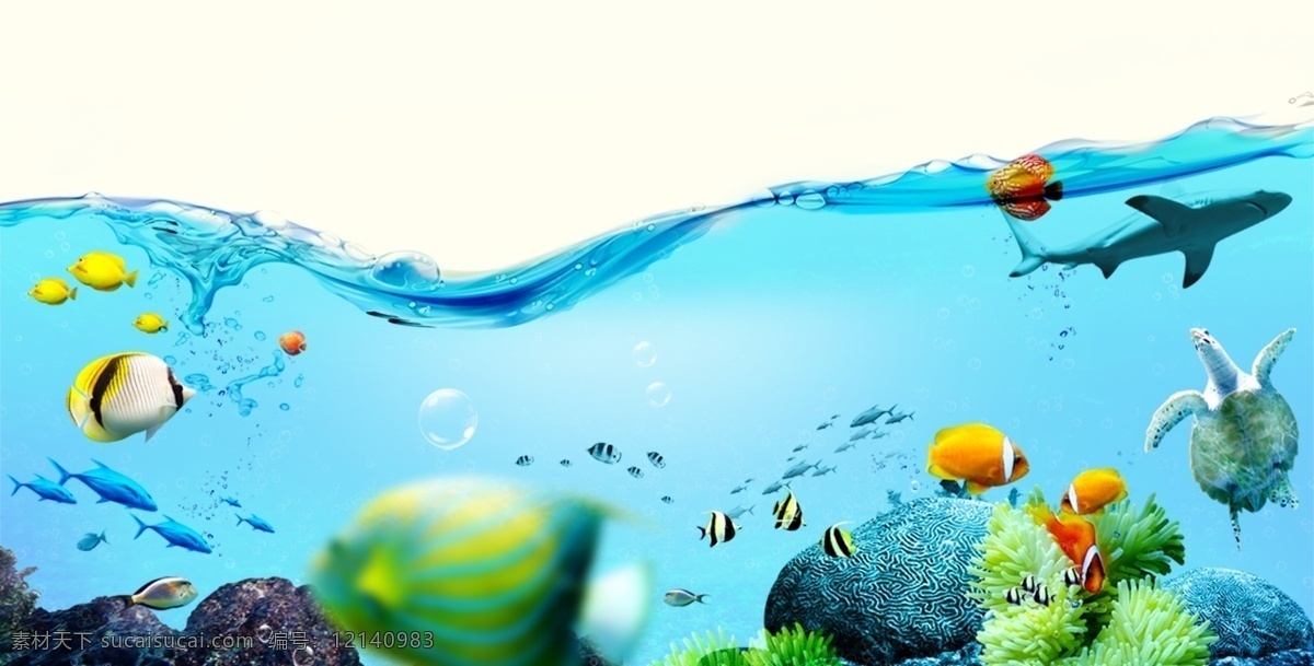 蓝色海底 蓝色 海底 海底世界 海底素材