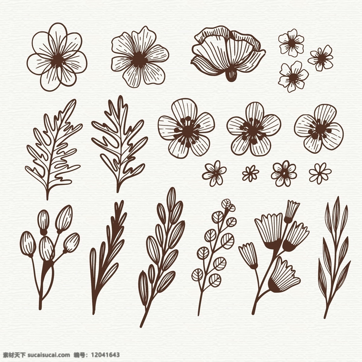 手绘 素描 风格 花卉 元素 线描 线条 叶 自然 装饰性