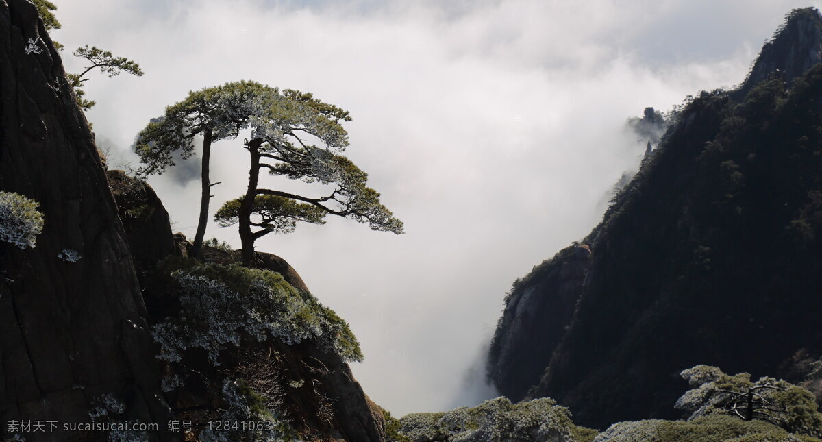 美丽 安徽 黄山 风景 高清 树木 蓝天 山顶