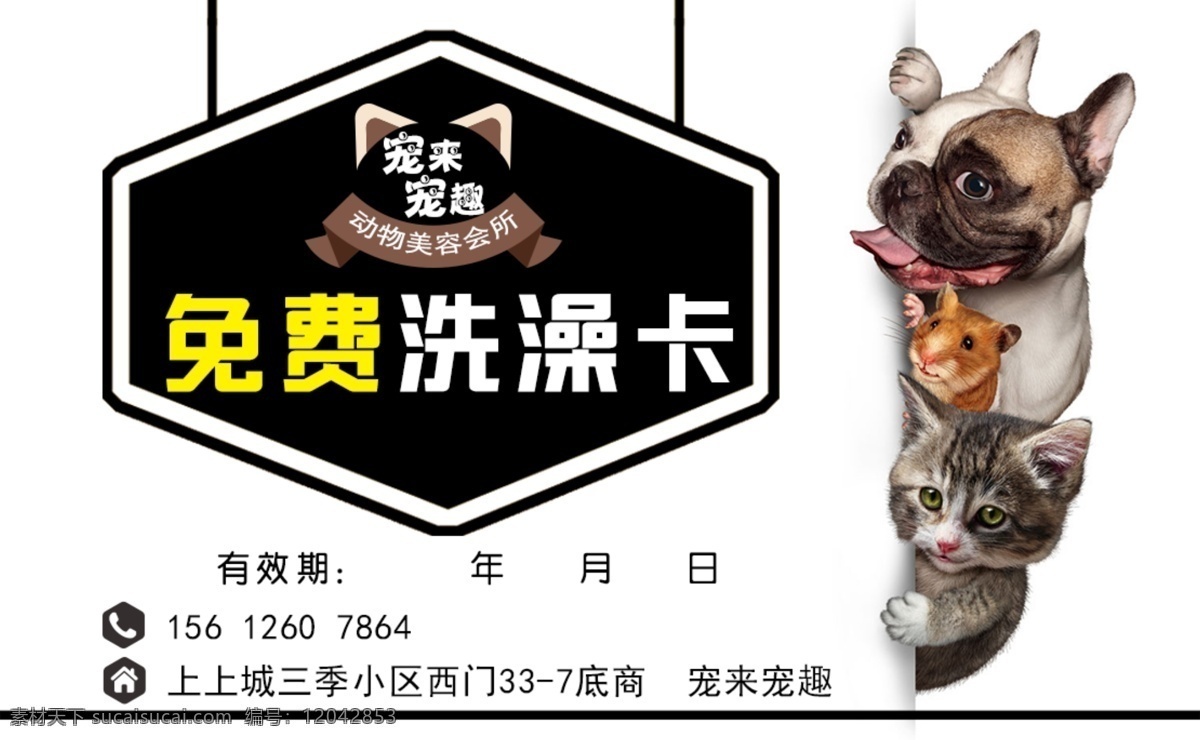 宠物卡 宠物会员卡 宠物寄养 会员卡 宠物店会员卡 宠物名片 宠物 宠物优惠卡 宠物代金卡 宠物店 宠物优惠券 动物园会员卡 宠物店卡 名片总汇 名片卡片