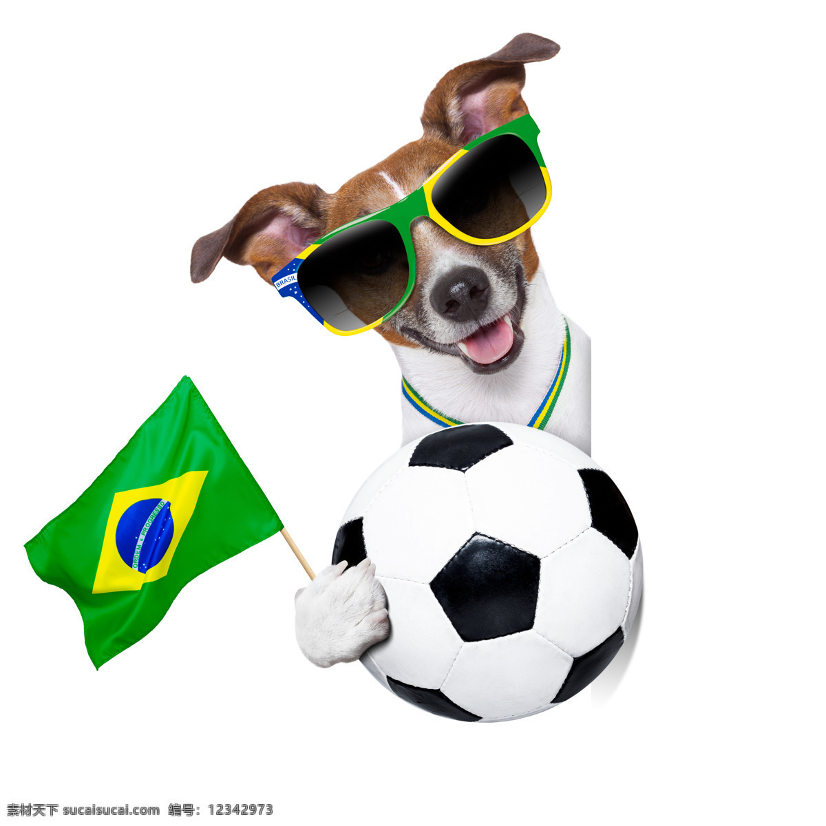 抱 足球 小狗 世界杯 标志 旗帜 巴西 体育运动 生活百科