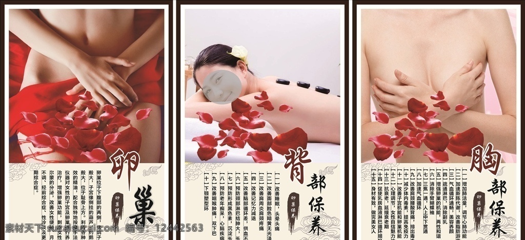 美容展版 子宫保养 卵巢保养 胸部保养 背部保养 女人 中国风元素