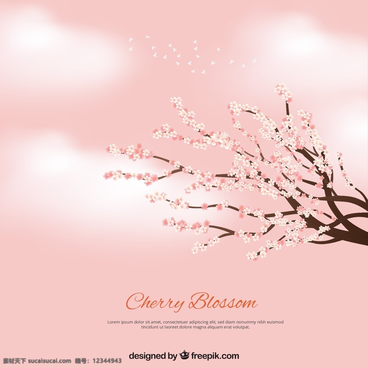 粉红色的背景 云朵 树枝 上 盛开 樱花 背景 花卉 自然 花卉背景 粉红色 春季 云彩 植物 自然背景 花朵 春天背景 美丽 季节