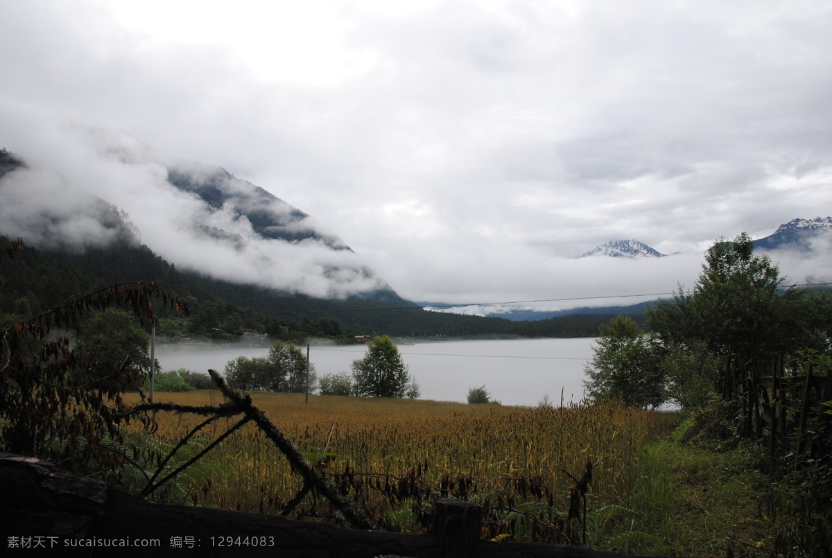 西藏 风景 湖 湖面 雾 雾气 西藏风景 雪山 远山 雾蔼 庄稼地 生活 旅游餐饮