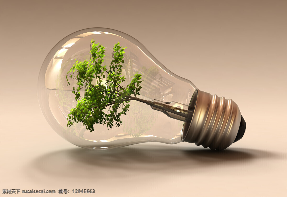 灯炮 绿树 节能灯 一棵绿树 节能灯泡 电灯 节能环保 绿色环保 生态环保 家用电器