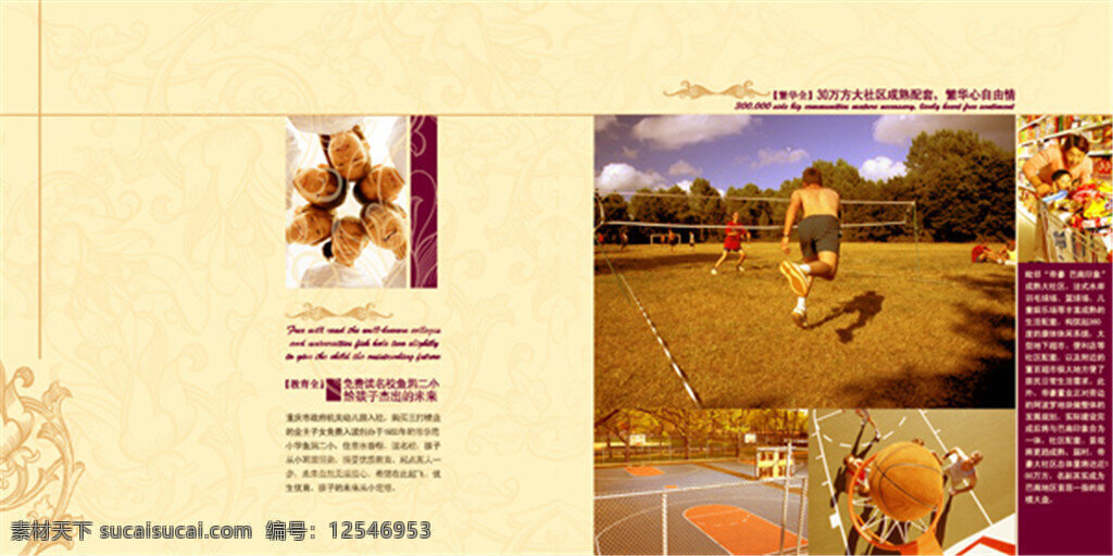 法式房产 画册 法式房产画册 黄色